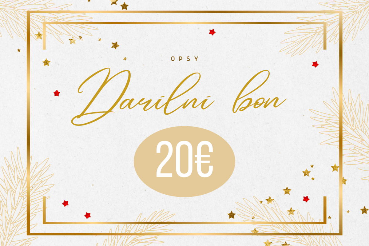 DARILNI BON 20€ - slika 1