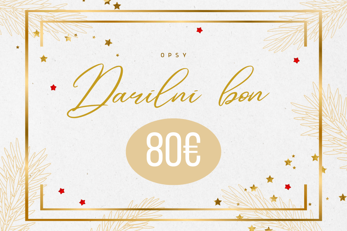 DARILNI BON 80€ - slika 1