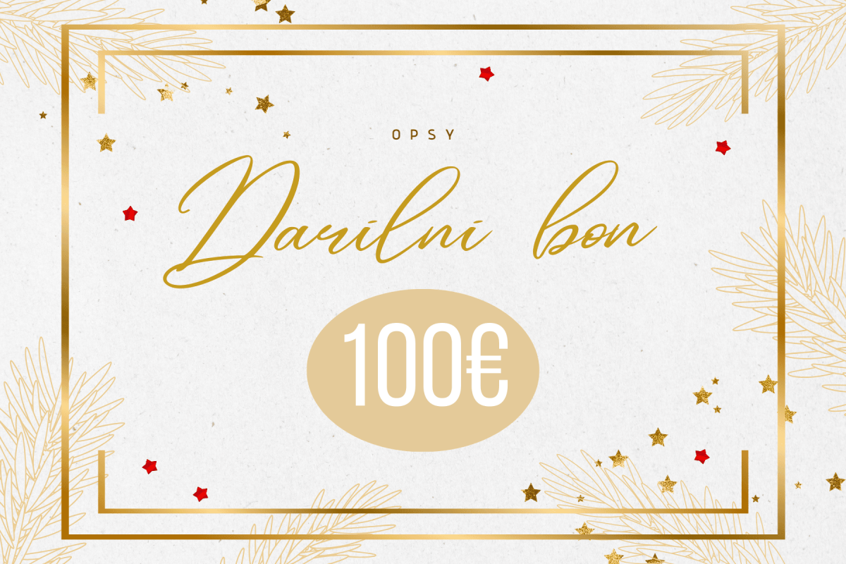 DARILNI BON 100€ - slika 1